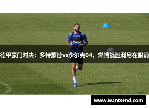 德甲豪门对决：多特蒙德vs沙尔克04，燃情战胜利尽在眼前