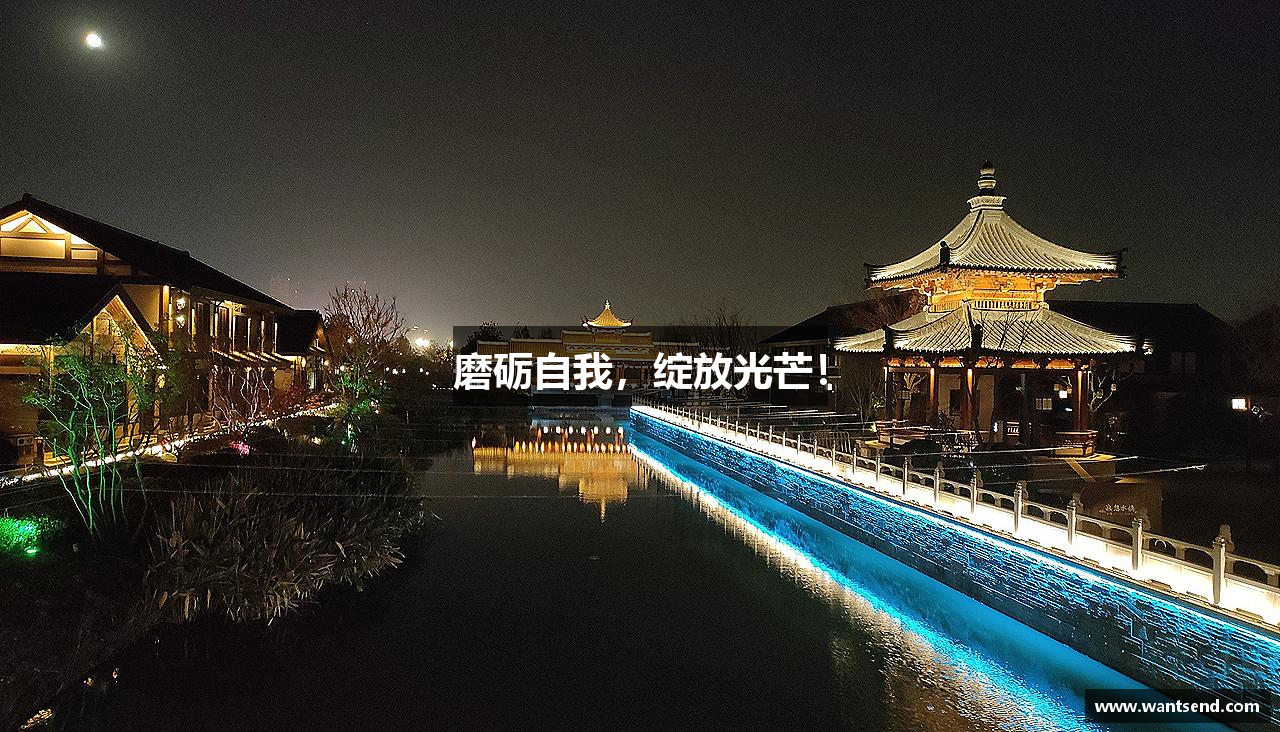 磨砺自我，绽放光芒！